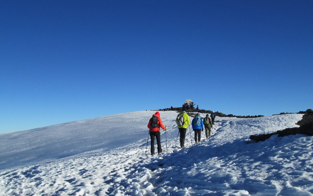 7 Days Machame Route | LEADER EXPEDITIONS TOURS AND SAFARIS LTD