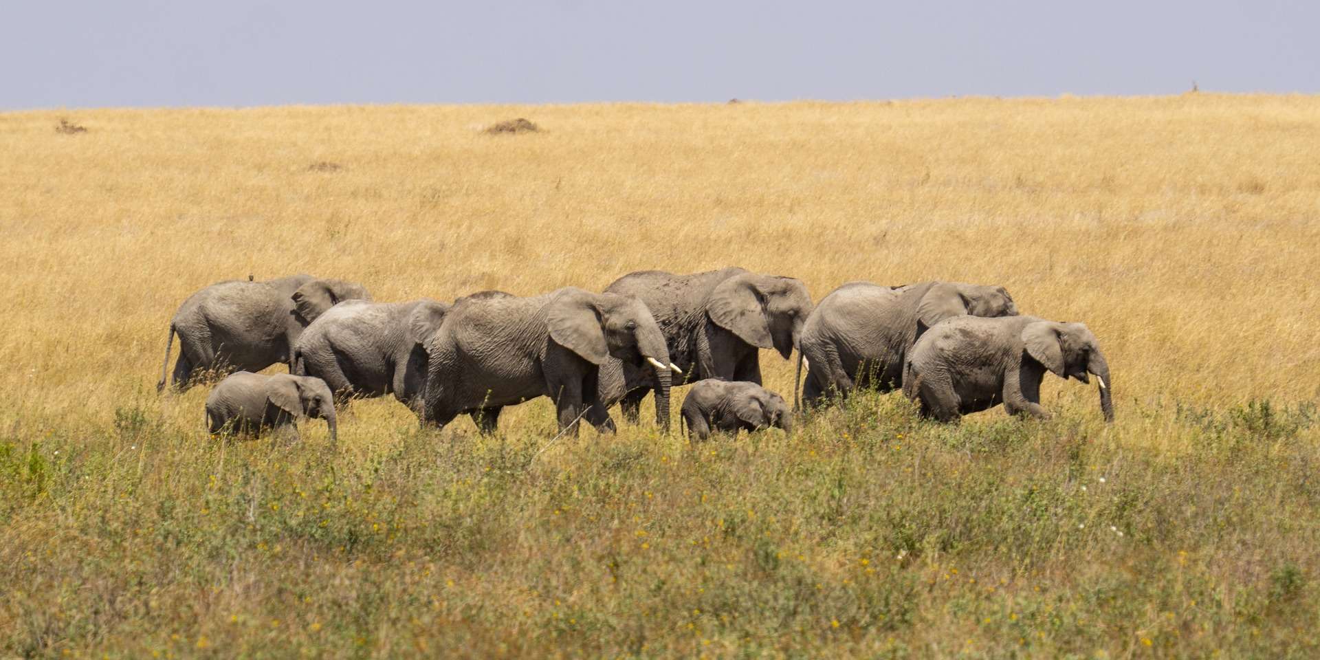 tanzania day trips